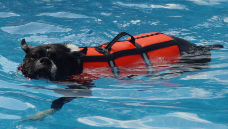 Eve loves to swim!
